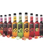 Davinci mint syrup 750 ml.