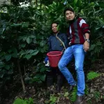 Drome Arabica Coffee Drip 5 Bag 50g