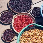 Coffee, House Blend, Cafe R'ONN, dark roasted house, Blend 500 grams.