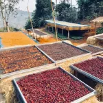 กาแฟเมล็ด HOUSE BLEND CAFE R'ONN คั่วเข้ม เฮาส์เบลนด์  1 กิโลกรัม