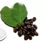 กาแฟเมล็ด HOUSE BLEND CAFE R'ONN คั่วเข้ม เฮาส์เบลนด์  1 กิโลกรัม