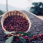 กาแฟเมล็ด HOUSE BLEND CAFE R'ONN คั่วเข้ม เฮาส์เบลนด์  1 กิโลกรัม