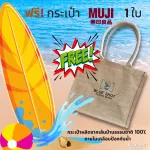 [SET 250G X3 Bags] 100%Pang Arabica coffee seeds _ premium grade _ Roasted coffee 3 levels/assorted free !!