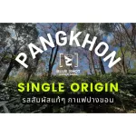 Coffee seeds roasted Pang Coffee, Khon Khon Khon, Medium, Arabica 100% _ Premium grade _ 250G_ Free crushing !!