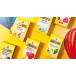 Twinings Mango and Strawberry Tea ทไวนิงส์ มะม่วงและสตอเบอรี่ ชาอังกฤษ UK Imported 2กรัม x 20ซอง