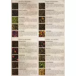 TE Quaran-Tea Set! 20 Teabags best selling! Including 20 best -selling flavors, tea brands