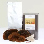 Mushart Mushroom Tea Sang Huang Organic 100% Packing 27 sachets