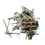 ทองพันชั่งผง ทองพันชั่งบด ทองพันชั่งตะโกนา / "อยากลงทุนสุขภาพ นึกถึงสมุนไพรท่าพระจันทร์"