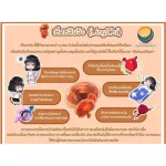 เห็ดหลินจือผง เห็ดหลินจือแดงผง ผงเห็ดหลินจือ เกรดสีเข้ม AAA  เนื้อผงหนัก ไม่ฟู