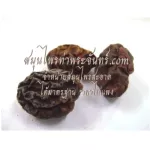 Thai anchor, anchor powder, Thai herbs, anchor Thai / "Want to invest in health Think of Tha Prachan Herbs "