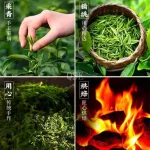 ชาจีน ชาเขียว ชาทิกวนอิม ชาต้าหงเผา ชามะลิ ชาปี้หลัวชุน ชาแดง ชาเก๊กฮวย ชาผู่เอ๋อร์ชาสุก 铁观音 大红袍 茉莉花 普洱茶 碧螺春 毛尖 菊花茶 绿茶 红茶 茶叶