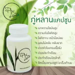 ส่งฟรี! ชาภู่หลานแบบแคปซูล 3 กระปุก 180 แคปซูล - ชาภู่หลาน Phulan สมุนไพร ภู่ หลาน ชาเจียวกู้หลาน ของแท้!