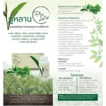 ส่งฟรี! ชาภู่หลานแบบแคปซูล 3 กระปุก 180 แคปซูล - ชาภู่หลาน Phulan สมุนไพร ภู่ หลาน ชาเจียวกู้หลาน ของแท้!