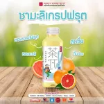 6 ขวด NONGFU SPRING TEA PI ที พาย ฟรุ๊ต ที ดริ้งค์ ชาดำมะนาว ชามะลิเกรปฟรุ๊ต ชาอู่หลงพีช  คละรสชาติ