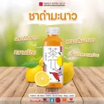6 ขวด NONGFU SPRING TEA PI ที พาย ฟรุ๊ต ที ดริ้งค์ ชาดำมะนาว ชามะลิเกรปฟรุ๊ต ชาอู่หลงพีช  คละรสชาติ