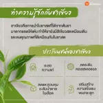 ชาเขียวมัทฉะ สำเร็จรูปพร้อมชง แบบซอง ซองละ 30 กรัม