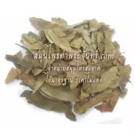 Cassia leaves, steel, steeling herbs, herbs / "want to invest in health Think of Tha Prachan Herbs "