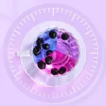 เก๋ากี้ดำ 黑枸杞 บำรุงสายตา ความดัน เบาหวาน เกรด Premium โกจิเบอร์รี่ดำ ชา สมุนไพร ชาเก๋ากี้ ตาใส 100กรัม