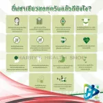 Maruzen Maruzen, Green Tea, Cold Czech, Czech Pack, 6 bags, Shake-Ku Shake-Ku Green Tea Bag No Sugar Cold Infuse 6 Packs.