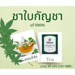 ชาใบกัญชา Cannabis Tea