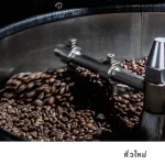 Graph Coffee Co. Signature Blend coffee beans