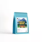 Graph Coffee Co. Coffee seeds Signature Blend Camper Brew