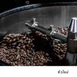 Graph Coffee Co. Signature Apple Margarita coffee beans