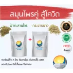 "Double herbs to enhance the immune system" Fah Talai Powder + White Krachai Powder