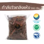 กำลังวัวเถลิงแห้ง ขนาด 500 กรัม / "อยากลงทุนสุขภาพ นึกถึงสมุนไพรท่าพระจันทร์"