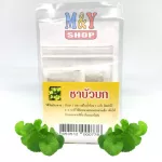 ชาชง บัวบกธรรมชาติ ขนาดบรรจุ 15 ซอง