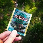 ORIENTAL MOROCCAN MINT