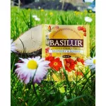 ชาบาซิเลอร์ ราส์พเบอร์รี่ โรสฮิฟ ซีลอน แบล็ค ชี