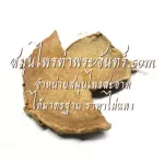 ว่านชักมดลูกผง ว่านชักมดลูกบด สมุนไพรว่านชักมดลูก / "อยากลงทุนสุขภาพ นึกถึงสมุนไพรท่าพระจันทร์"