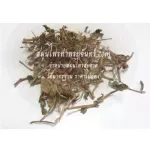 น้ำนมราชสีห์ผง น้ำนมราชสีห์บด สมุนไพรน้ำนมราชสีห์ / "อยากลงทุนสุขภาพ นึกถึงสมุนไพรท่าพระจันทร์"