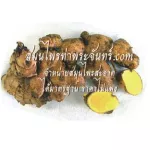 ไพลผง ผงไพล สมุนไพร บำรุงผิว กระจ่างใส ลดริ้วรอย ทำสบู่ ขัดผิว สครับ พอกผิวสวย สกินแคร์ เกรด 100% สปา ผงไผล