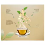 Amway เครื่องดื่มผงชาอู่หลง ผสมสารสกัดจากโสม แพลนท์ ทู เทเบิล บาย นิวทริไลท์  Plant To Table by Nutrilite จากช้อปไทย