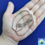 สร้อยคอสแตนเลสแท้ สร้อยคอห้อยพระ สร้อยคอแฟชั่น สร้อยคอผู้หญิง สร้อยคอเด็ก สร้อยพระ ใส่อาบน้ำได้ ไม่ลอก ไม่ดำ รับประกัน 5 ปี