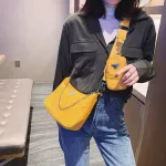 Brand Luxury Handbag Women Canvas Bag Designer Hi Quity Oulder Bag Crossbody Bags for Women Mesger Bags