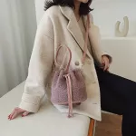 Draw Lamb Wool Sml Crossbody Bags For Women New Oulder Bag Ladies Handbag Wild Bucet Bags Autumn Winter Travel