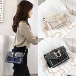 New Luxury Chain Oulder Bags Mini Crossbody Bags For Women Vintage Hi Quity Zier Handbags Tote Fe Flap Se