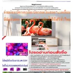 TCL55 inch ULTRAL4K Digital Android LED55LINE Normal TV 24995. Buy and have no replacement in all cases. New products guaranteed by LED TV manufacturers 55 "TCL (4K, AndR