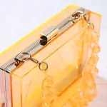 Women Clear Acrylic Box Clutch Crossbody Bag Se For Concert With Detachable Chain Resin Ort Strap