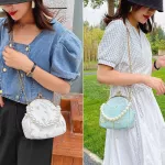 Exquisite Brdery Oulder Bags Women's Dinner Chain Crossbody Bag Pearl Decoration Handbag