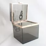 Transparent Clear Acrylic Oulder Bag Women Party Prom Clutch Se Wedding Banquet Handbag Chain Strap Travel O Tote