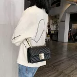 Wild Women's Bag New Oulder Mesger Bag Luxury Designer Women's Bag Ca Women's Bag Bag Chain Bag