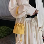 Luxury Brand Fe Mini Tote Bucet Bag Mmer New Quity Leather Women's Designer Handbag Chain Oulder Mesger Bag