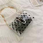 Sml Bag Handbag Fe New Dot Chain Crossbody Bag Sml Wild Pvc Transparent Jelly Pge Women Ca Handbag