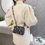 Mini Bag Women's Spring Oulder Mesger Bag Wide Strap CN SE Box Bags for Women