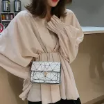 Women Oulder Bags Mmer New Orean Version Of The Mesger Bag Handbag Chain Wild Crac Printing Wild Oulder Bag