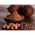 Van Houten Cocoa Powder แวนฮูเทน 100% โกโก้ผง 350g.